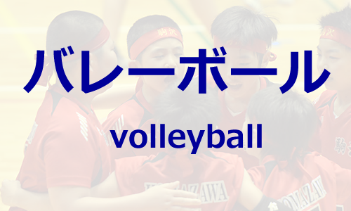 バレーボール